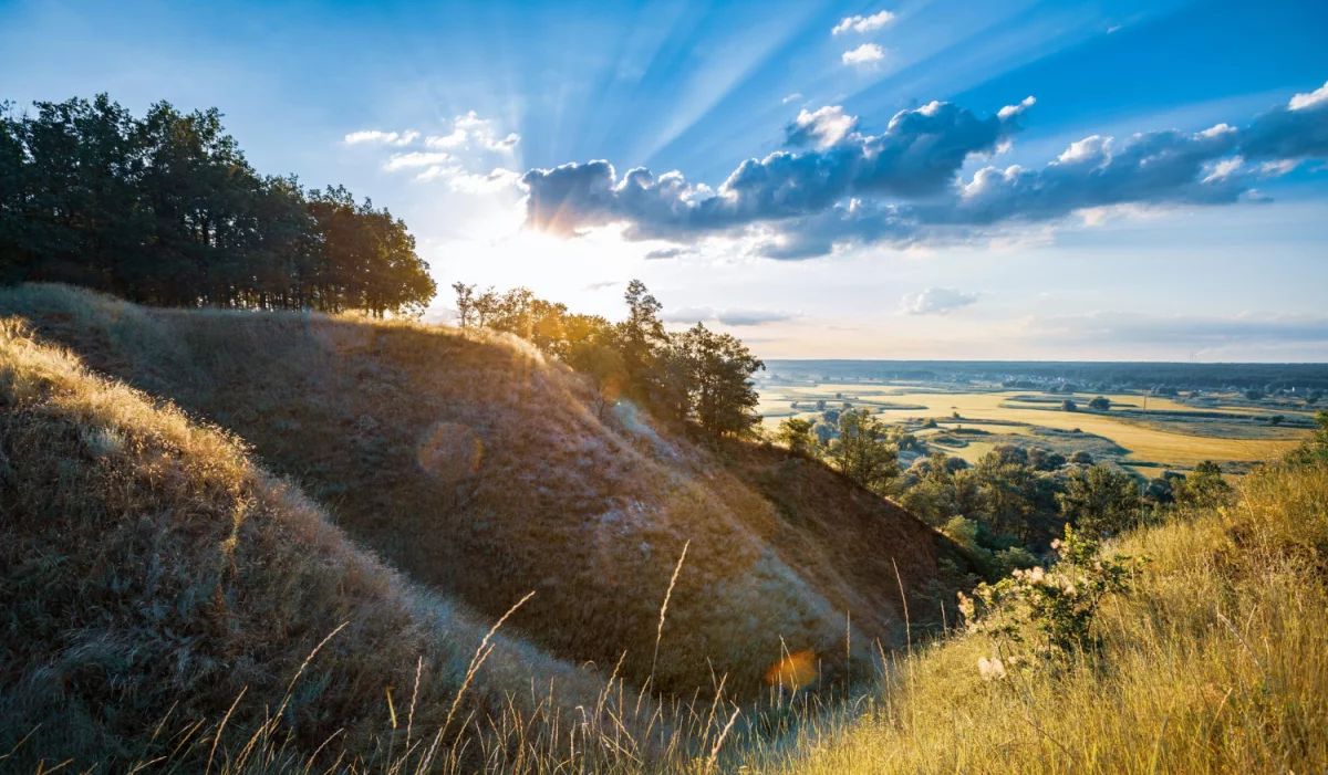To może Cię zainteresować. Jak zareklamować biznes profesjonalnie