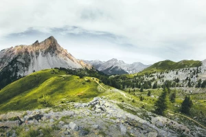 Jak Oddać elektrośmiecie w Poznaniu - Nowe informacje