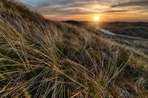 Wspaniały sposób na to jak kupić para cord