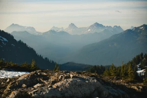 zrobić marketing? Nie?